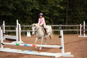 An older horse and young rider approaching a jump