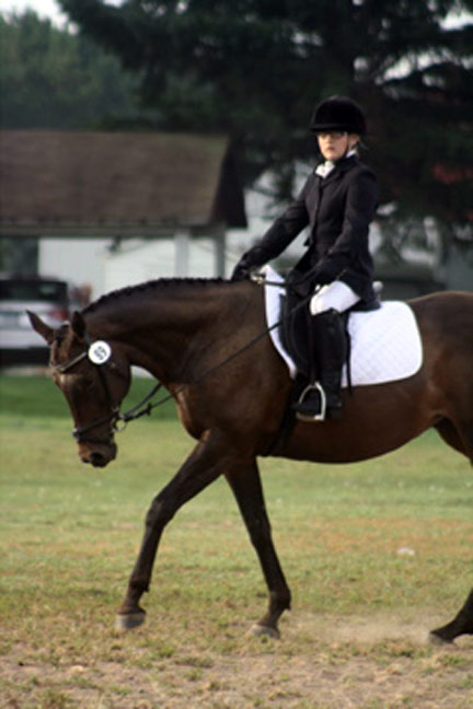 Horse bending and stretching