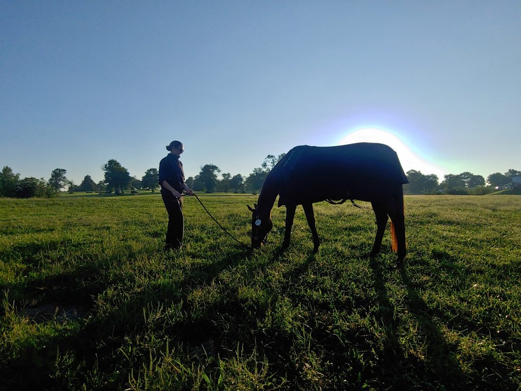 Cissi Emilsson grazes Blazing Angel